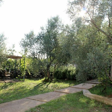 Turkovic Apartments Zgaljic Exteriér fotografie