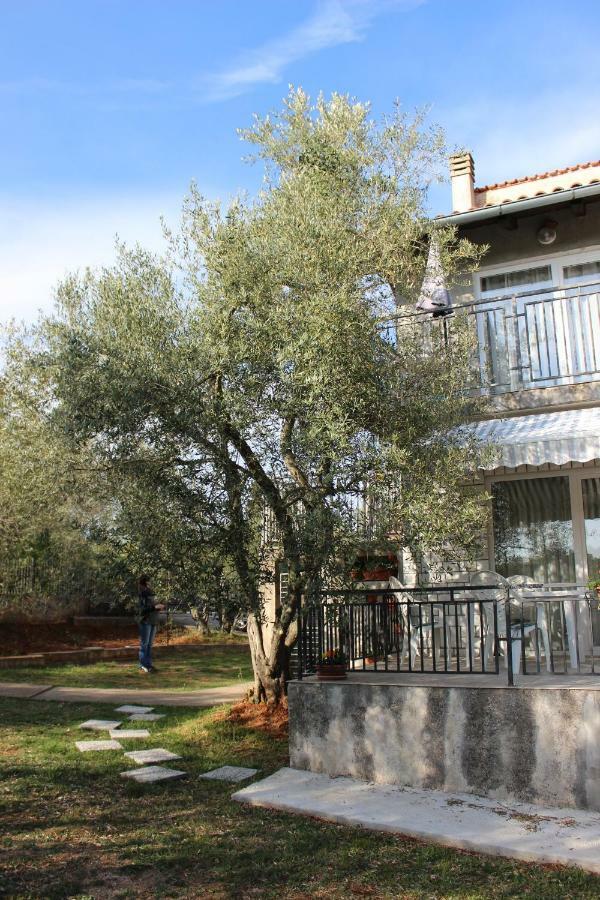 Turkovic Apartments Zgaljic Exteriér fotografie